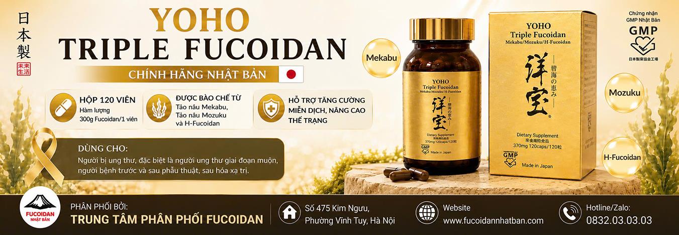 Yoho Triple Fucoidan Hộp 120 viên chính hãng Nhật Bản